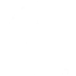 נשק הצפון